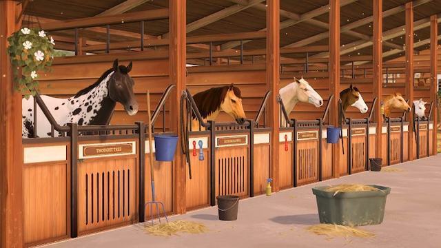 Состязание звёзд. Скачки 2 — кадр из игры