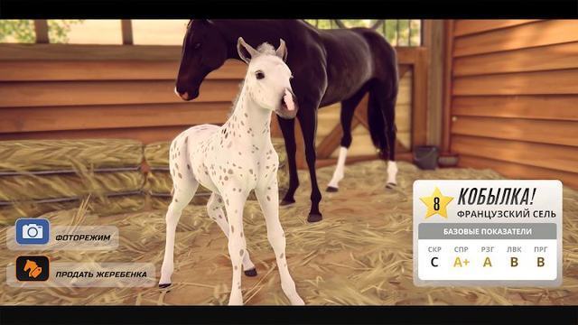 Состязание звёзд. Скачки 3 — кадр из игры